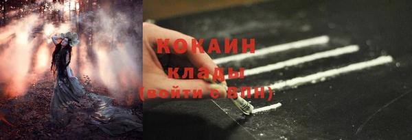 прущие крисы Елизово