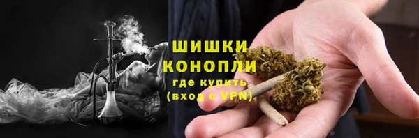 прущие крисы Елизово