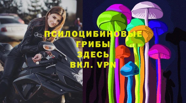 прущие крисы Елизово
